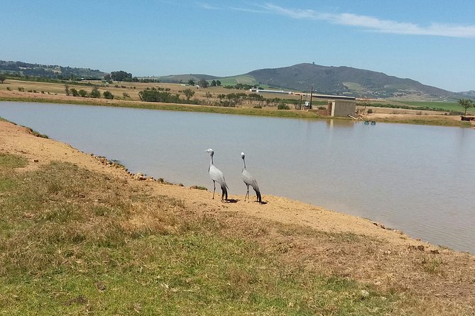 Horse Riding Wildlife Safari - The 90-minute ride through the sanctuary