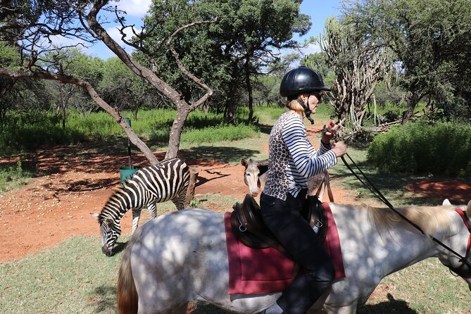 Horseback Safari Adventure in Hartbeespoort from Johannesburg - Hartbeespoort Dam adds a second setting