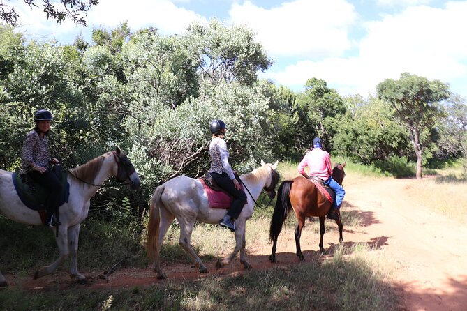 Horseback Safari Adventure in Hartbeespoort from Johannesburg - Who should book this day out?