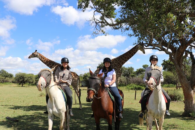 Horseback Safari Adventure in Hartbeespoort from Johannesburg - Riding through Silkaatsnek Nature Reserve