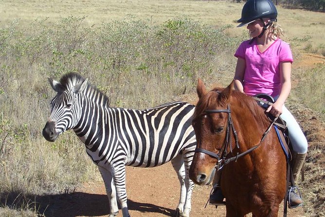 Horseback Safari Tour - Arriving at Horseback Africa near Cullinan