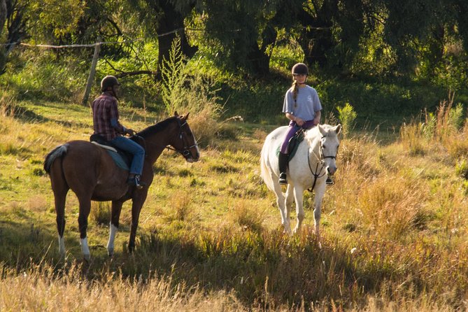 Horseback Small-Group Trail Rides in Muldersdrift - Key points to know before you ride