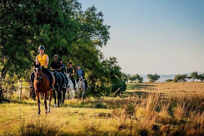 Horseback Small-Group Trail Rides in Muldersdrift - Why this ride works near Johannesburg
