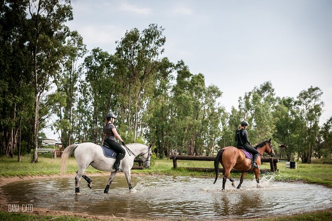 Horseback Small-Group Trail Rides in Muldersdrift - The best parts of the view stops