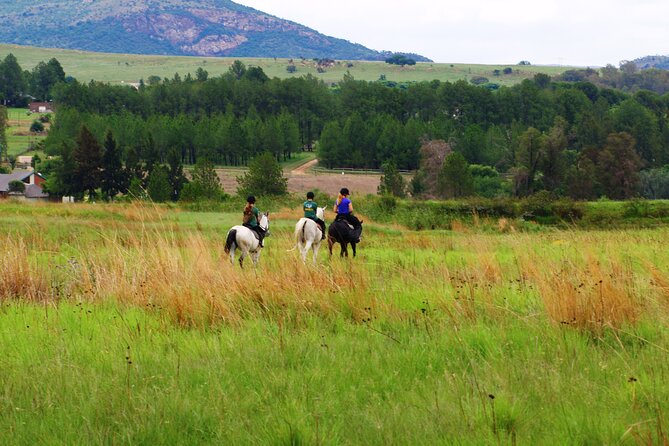 Horseback Small-Group Trail Rides in Muldersdrift - Price and overall value at $34.69