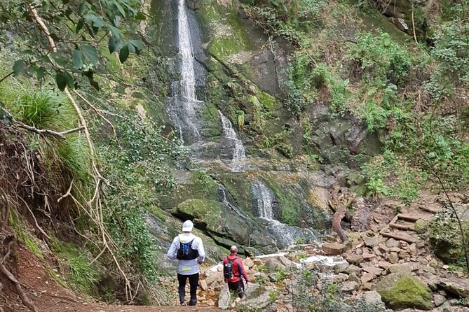 Incredible Table Mountain Guided Day Hike or Trail Run - A morning built around your pace