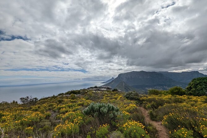 Incredible Table Mountain Guided Day Hike or Trail Run - Strong views, real effort, and the limits of a half day