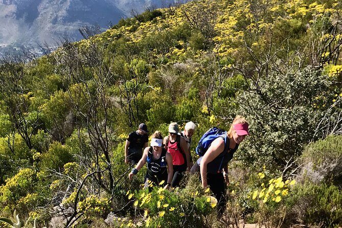 Incredible Table Mountain Guided Day Hike or Trail Run - When wind changes the mountain day
