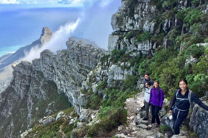 India Venster: sensational half-day route up Table Mountain - Key points to know before you book
