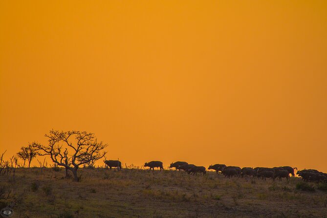 iSimangaliso Sunset Game Drive - The first hour: looking for movement in the bush