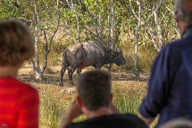 iSimangaliso Wetland Park, Full Day Tour - Starting at 8:00 am in St Lucia