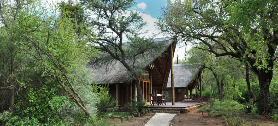 Johannesburg: 2-Day 4-Star Pilanesberg Safari - The final minivan safari before Johannesburg