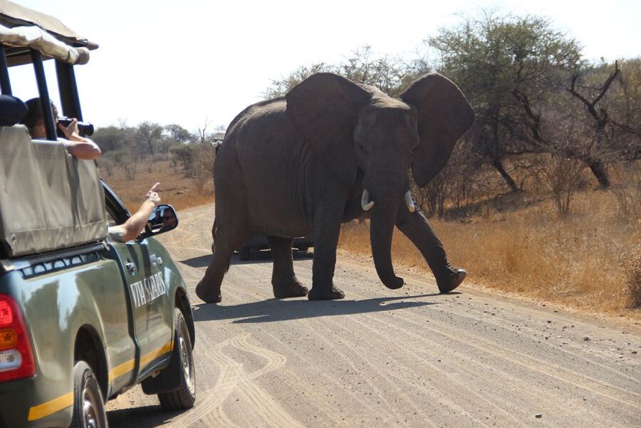 Johannesburg: 3-Day Classic Kruger National Park Safari Tour - The lodge, meals, and everyday comfort