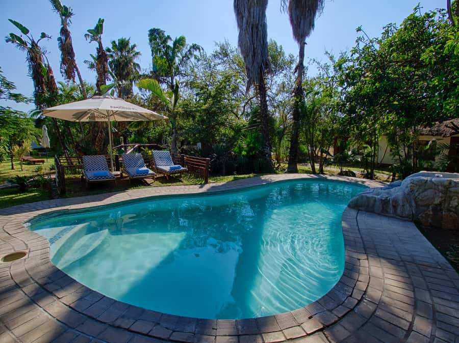 Johannesburg: 3-Day Classic Kruger National Park Safari Tour - Day two: Orpen Gate and the Satara wildlife zone