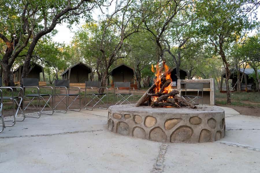 Johannesburg: 3-Day Kruger Budget Glamping Safari - Day 2: Seven to eight hours in the Orpen-Satara area