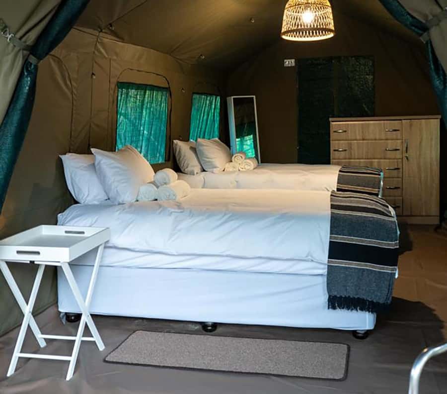 Johannesburg: 3-Day Kruger Budget Glamping Safari - Day 3: The optional one-hour bush walk