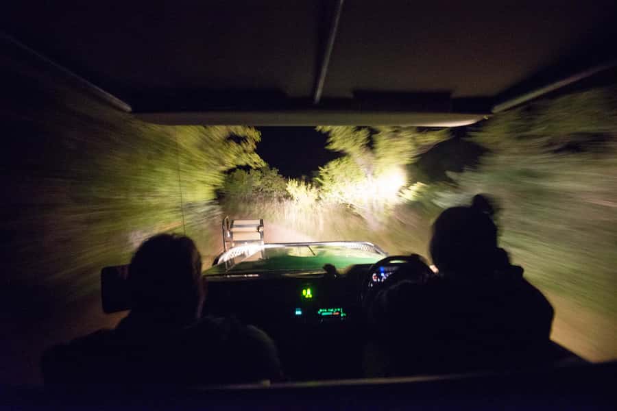 Johannesburg: 4-Day Classic Kruger National Park Safari - What four days in the bush really feels like