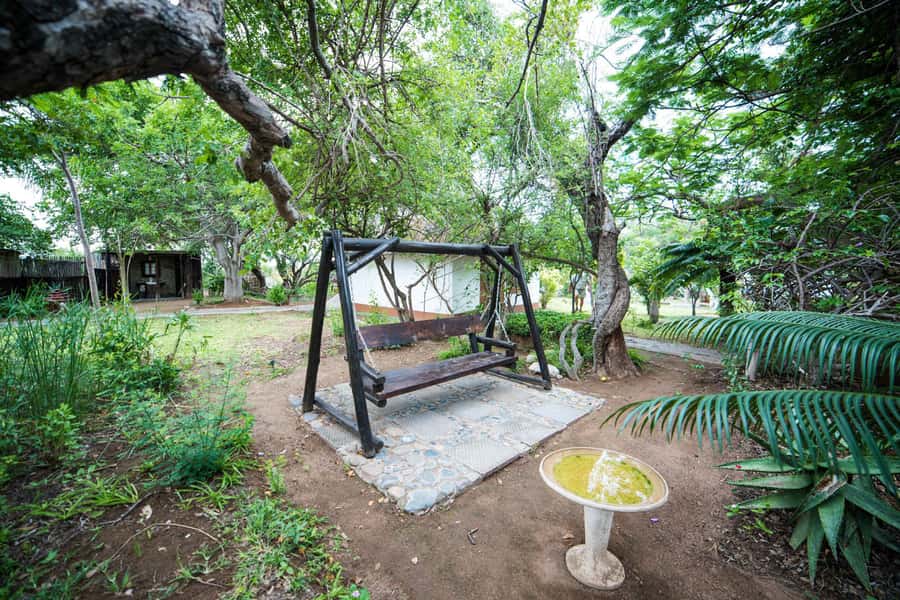 Johannesburg: 4-Day Classic Kruger National Park Safari - Day two: a four-hour walk with armed field guides