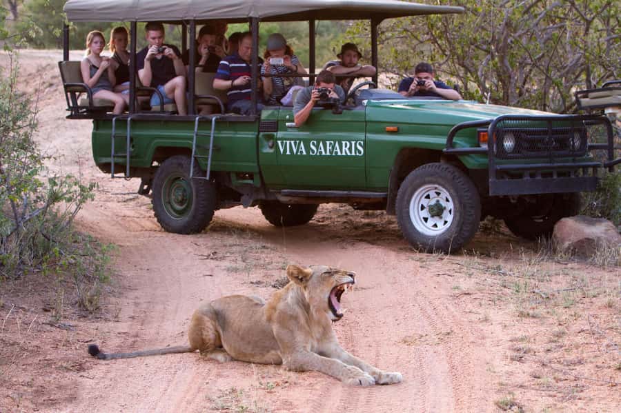 Johannesburg: 4-Day Classic Kruger National Park Safari - Johannesburg pickup and the long road east