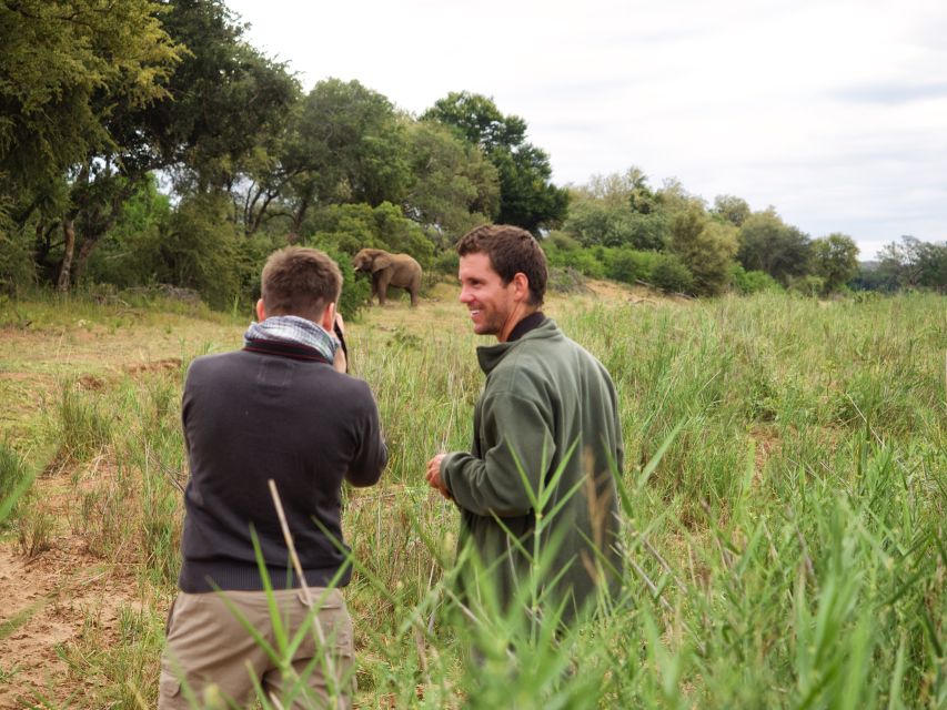 Johannesburg: 5-Day Classic Kruger National Park Safari - Key points at a glance