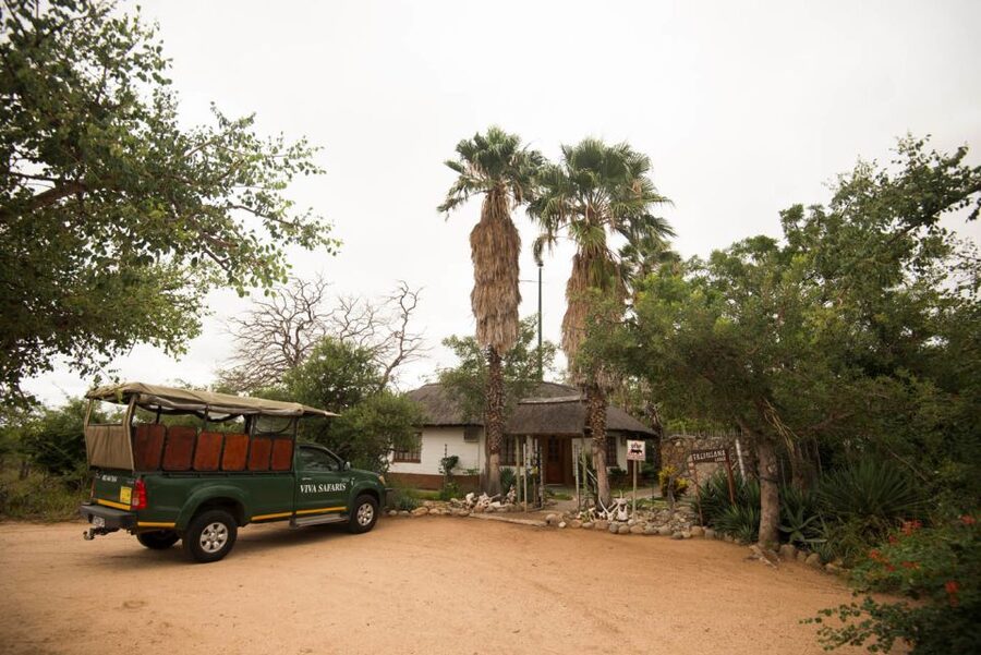 Johannesburg: 5-Day Classic Kruger National Park Safari - Who should book this five-day safari?