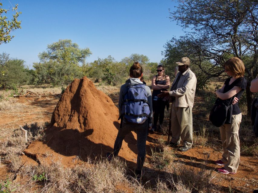 Johannesburg: 5-Day Classic Kruger National Park Safari - Day 2: Walking beside the Olifants River