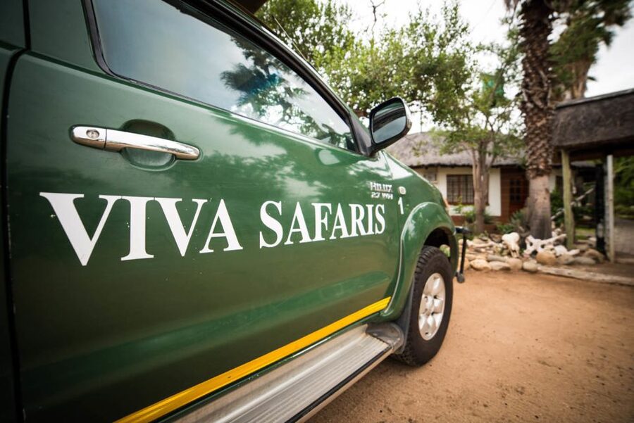 Johannesburg: 5-Day Classic Kruger National Park Safari - Guides, animal ethics, and what you should expect