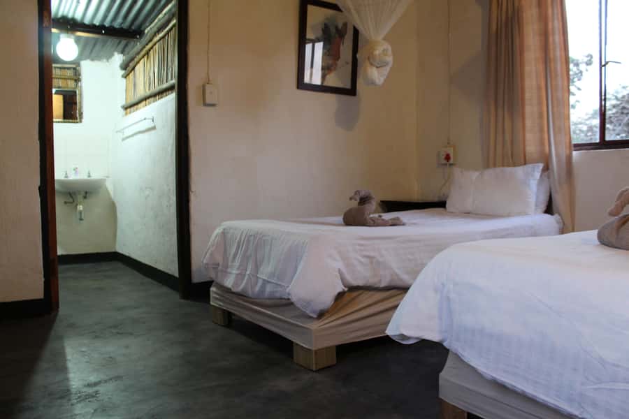 Johannesburg: Affordable 3 Day Kruger Park Safari - Day 3: A morning bushwalk beside the Klaserie River