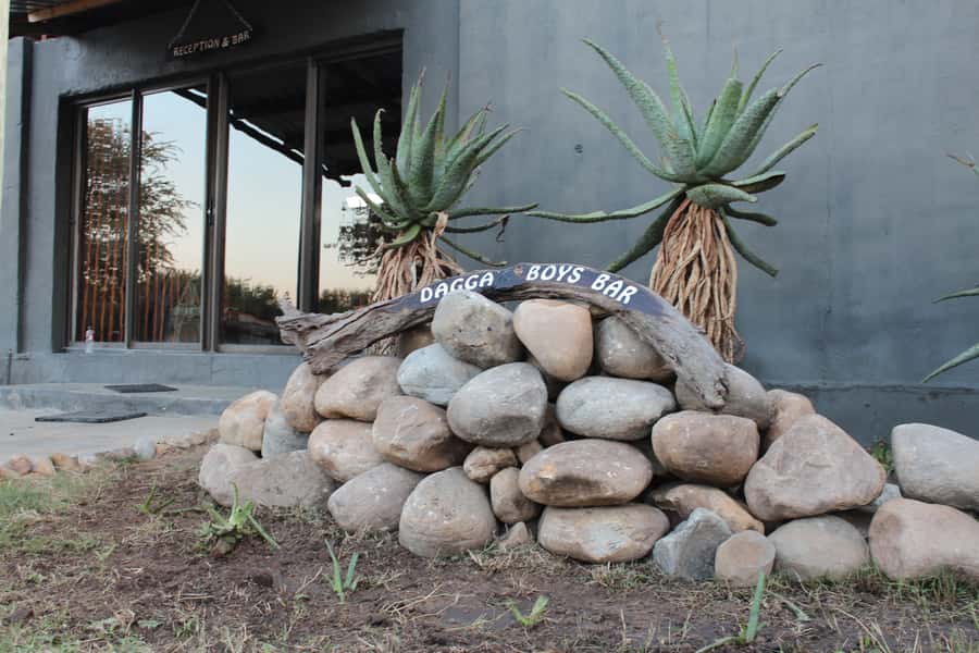 Johannesburg: Affordable 3 Day Kruger Park Safari - Should you book it?
