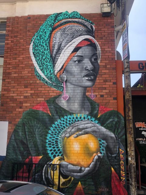 Johannesburg City Walking Excursion - Carlton Centre and the ABSA Gallery