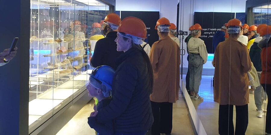 Johannesburg: Cradle of Human Kind & Lesedi Cultural Village - Who should book this day trip?