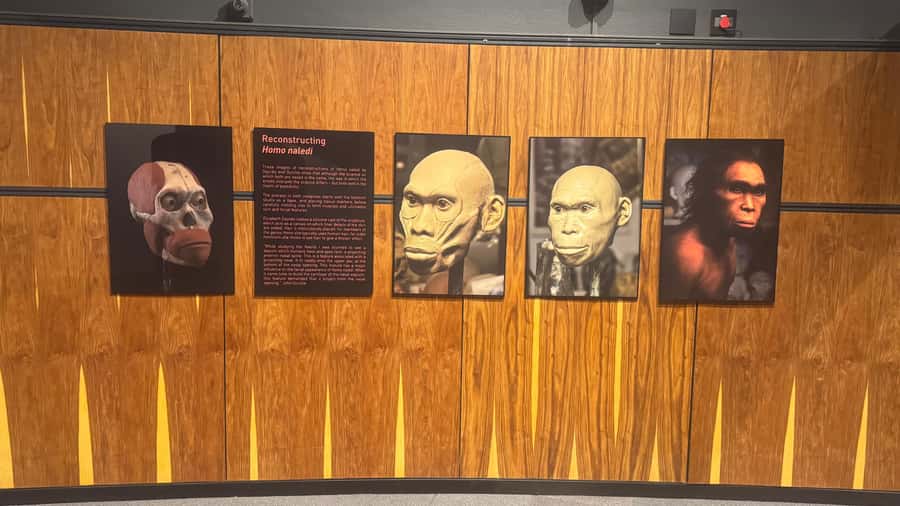 Johannesburg: Cradle of Humankind & Harties Aerial Cableway - From fossils to Hartbeespoort Dam