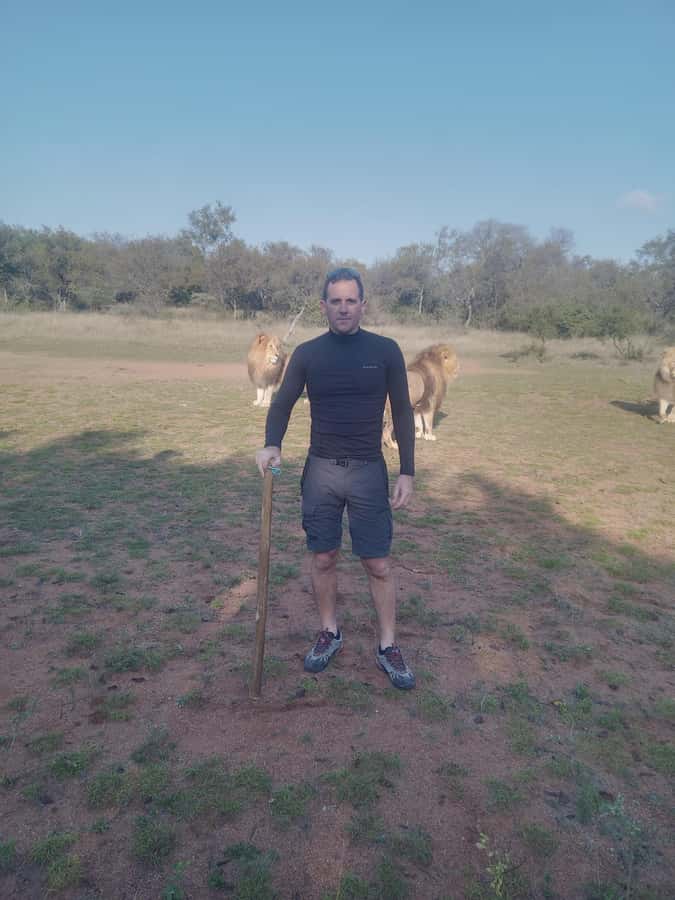 Johannesburg: Guided Walk with Lions in the African Bush - Key points to know before booking