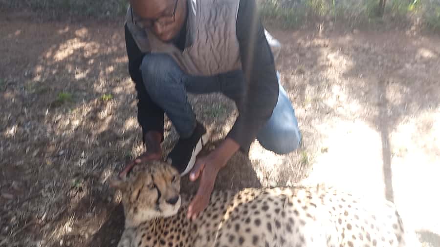 Johannesburg: Guided Walk with Lions in the African Bush - Arrival, security, and the safety briefing
