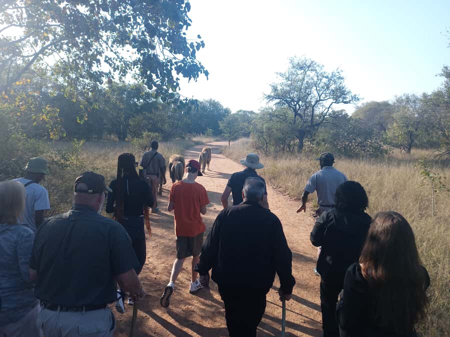 Johannesburg: Guided Walk with Lions in the African Bush - The two-hour ride from Johannesburg