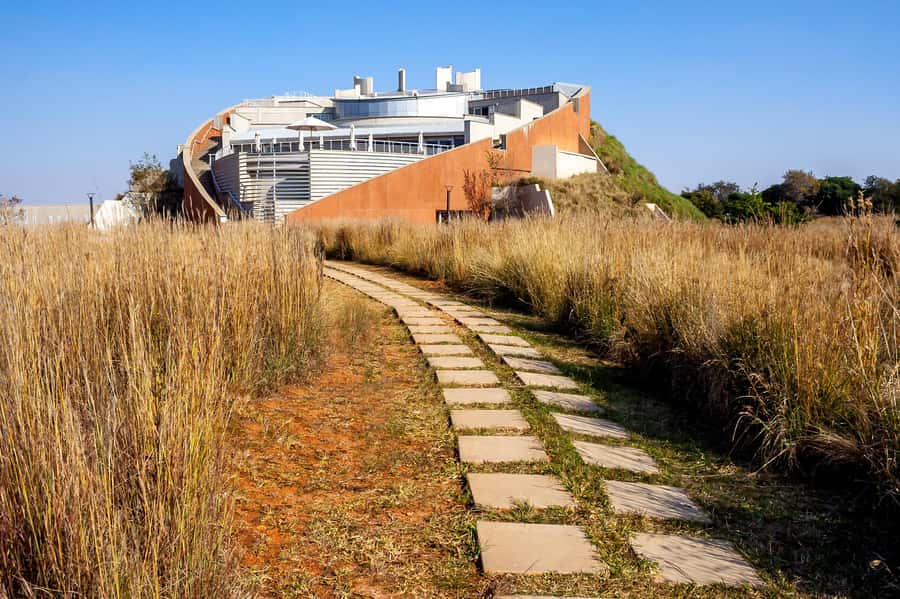 Johannesburg: Lion Park Safari and Cultural Village Tour - A useful pause for food and families