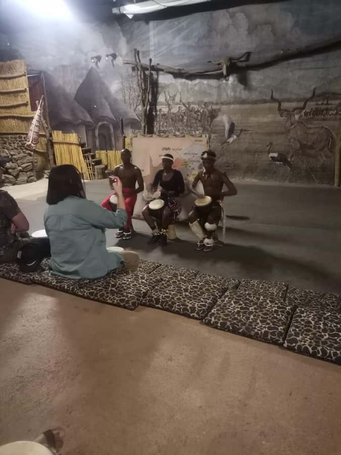 Johannesburg: Lion Park Safari and Cultural Village Tour - Who will enjoy this Johannesburg day trip