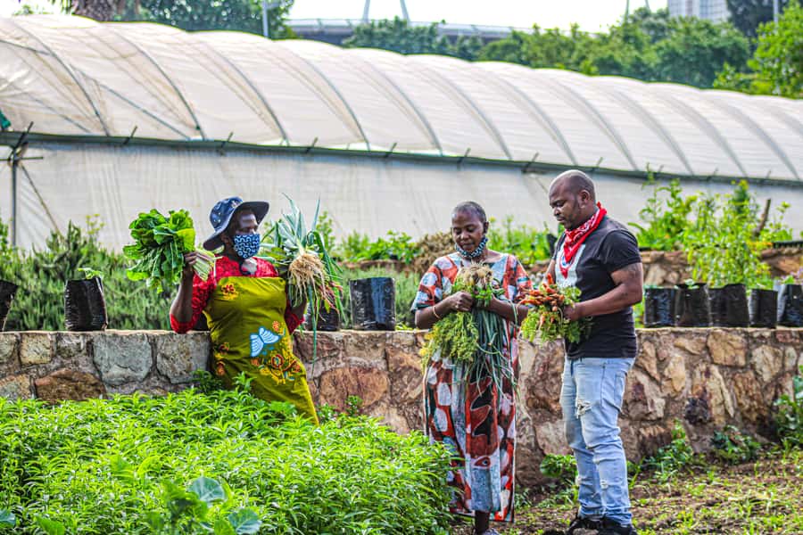 Johannesburg: Pan-African Cooking & Dinning Experience - From kitchen work to a shared African meal