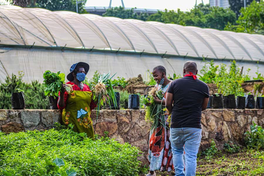 Johannesburg: Pan-African Cooking & Dinning Experience - Vegan or meat: choosing the right version