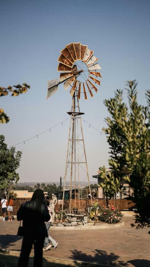 Johannesburg: Private Walking Tour with a Local - Key points to know before you book