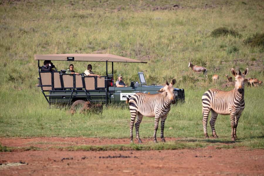 Johannesburg: Rhino and Lion Nature Reserve Safari - Leaving Johannesburg for the reserve