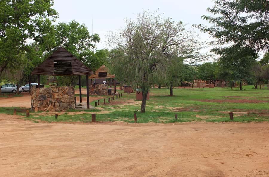 Johannesburg: Rhino and Lion Nature Reserve Safari - Is $121 a fair price?