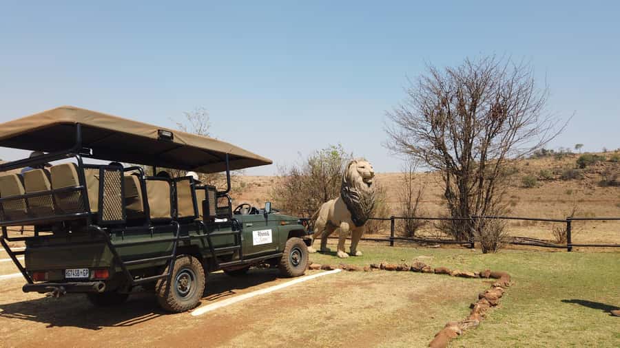 Johannesburg: Rhino and Lion Nature Reserve Safari - Booking advice for a smoother morning