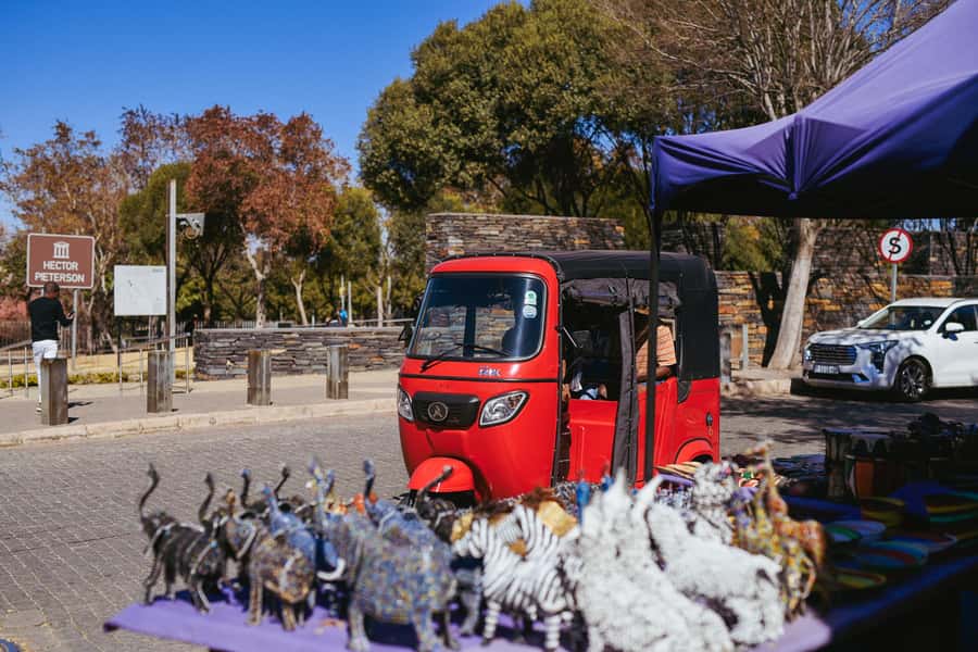 Johannesburg: Soweto Tour by Tuk Tuk - Orlando West sets the scene