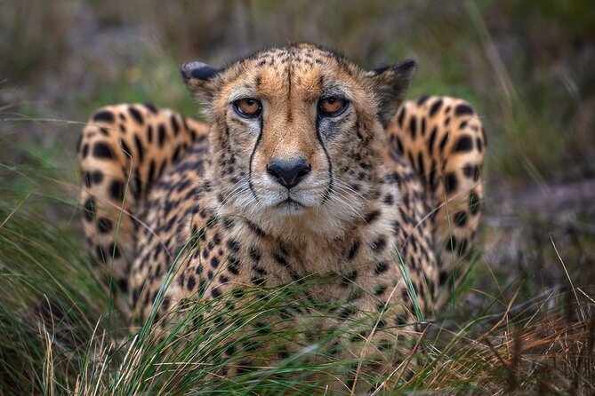 Jukani Wildlife Sanctuary Admission with Guided Tour - Practical details that affect your visit