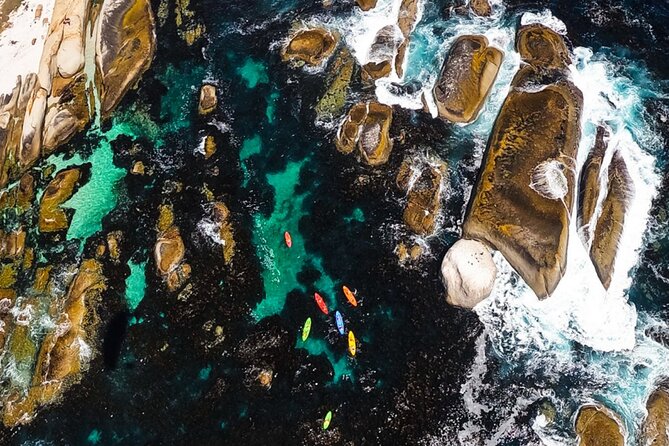 Kayak Adventure at Clifton Beach - How much value do you get for $28.86?