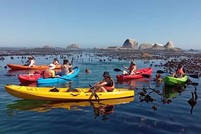Kayak Adventure at Clifton Beach - Who will enjoy this Clifton kayak trip?