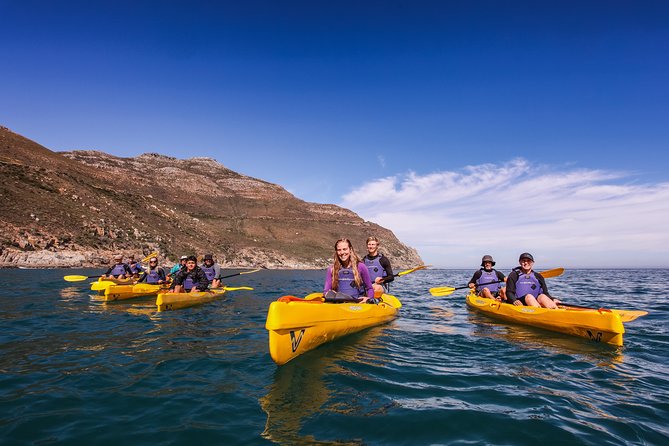 Kayak Chapman's Peak and Karbonkelberg in Hout Bay - How much work is two hours of kayaking?