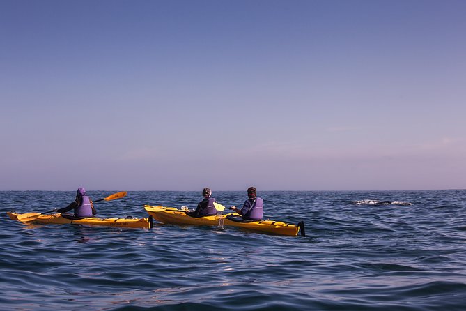 Kayak Chapman's Peak and Karbonkelberg in Hout Bay - Weather can shape the whole outing