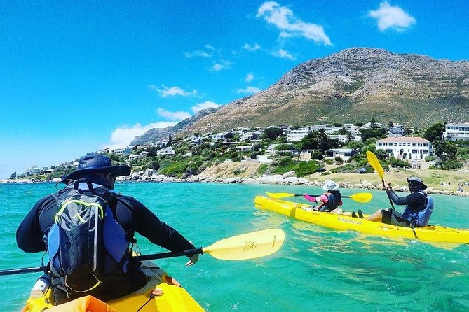Kayak to the penguins in Simons Town - Guide quality and the value of local help